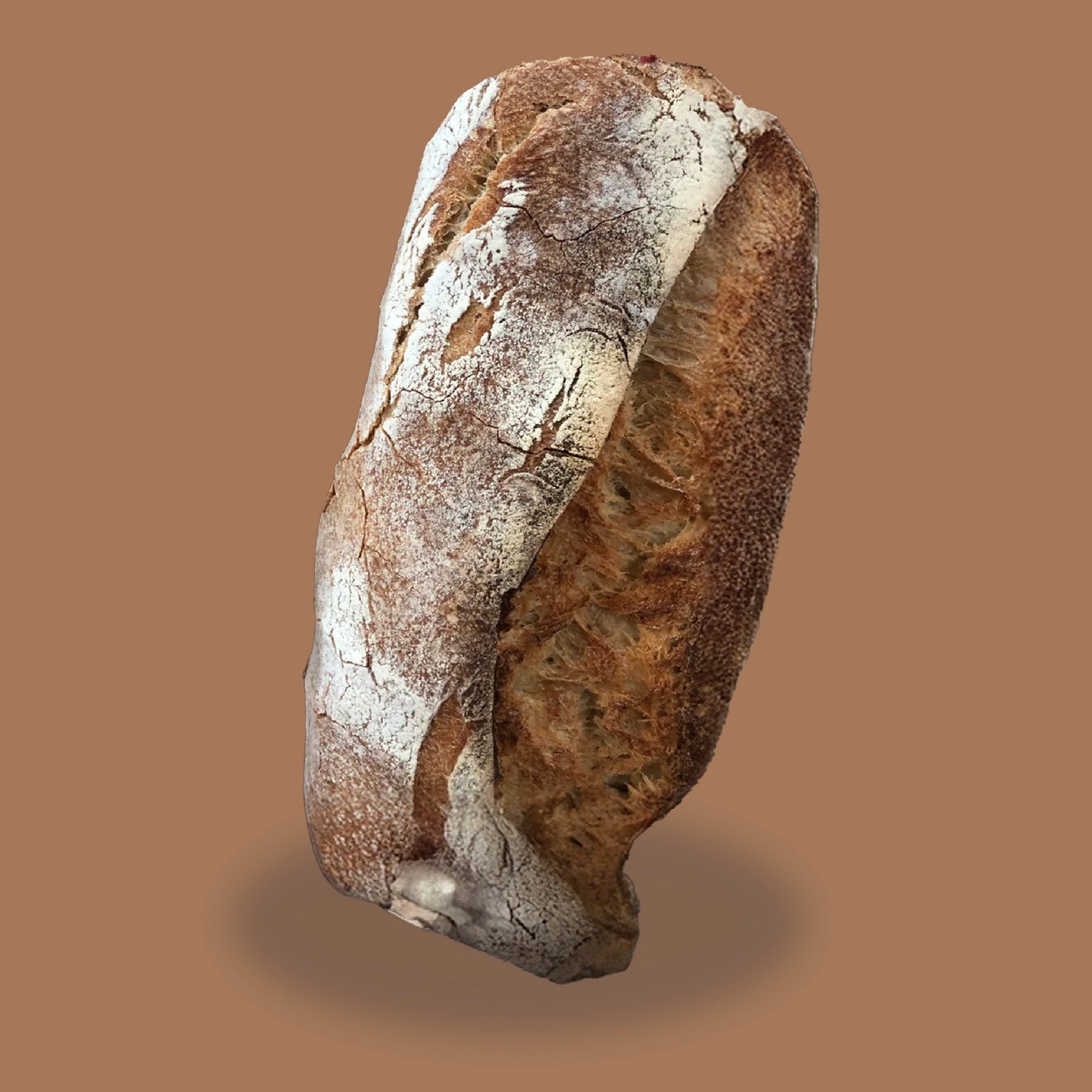 Pane cafone napoletano preparato a Las Galletas, Tenerife